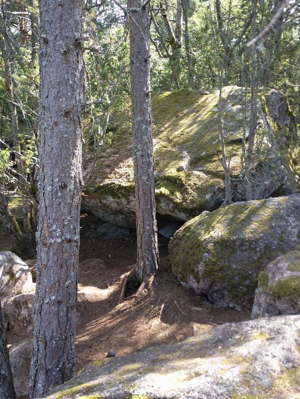 Sammaloituneita kivenlohkareita metsässä