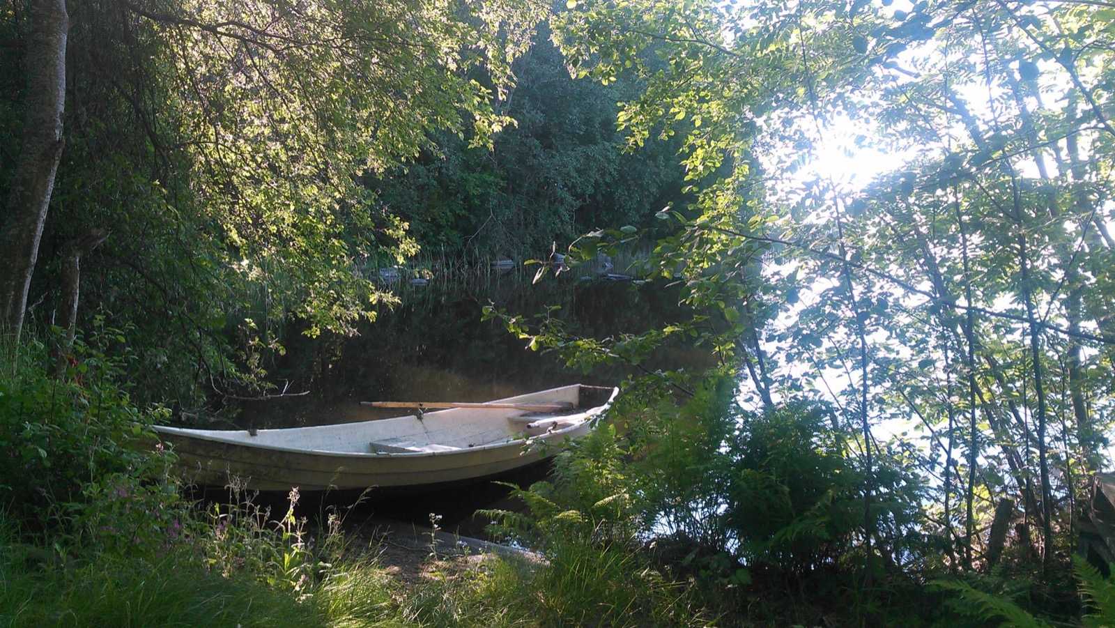 Soutuvene rannassa järvimaisemassa